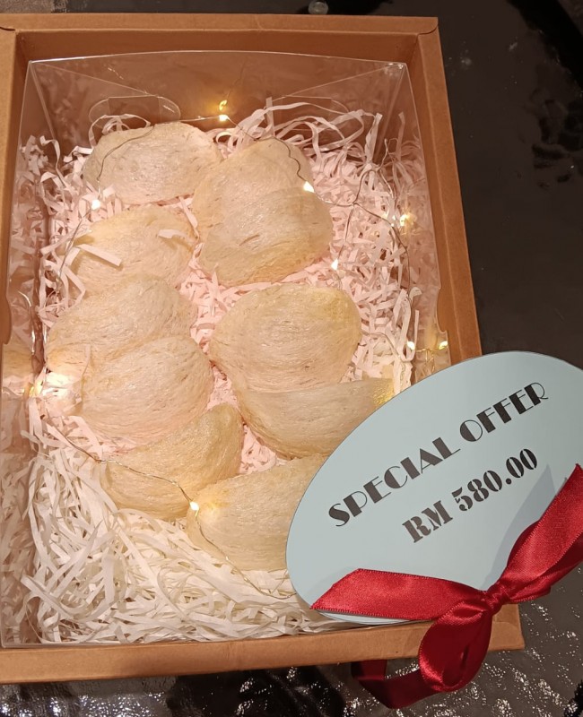 Special Promotion-Bird Nest